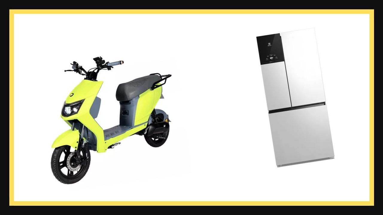 Sustentabilidade: 8 produtos variados ideais para um futuro melhor