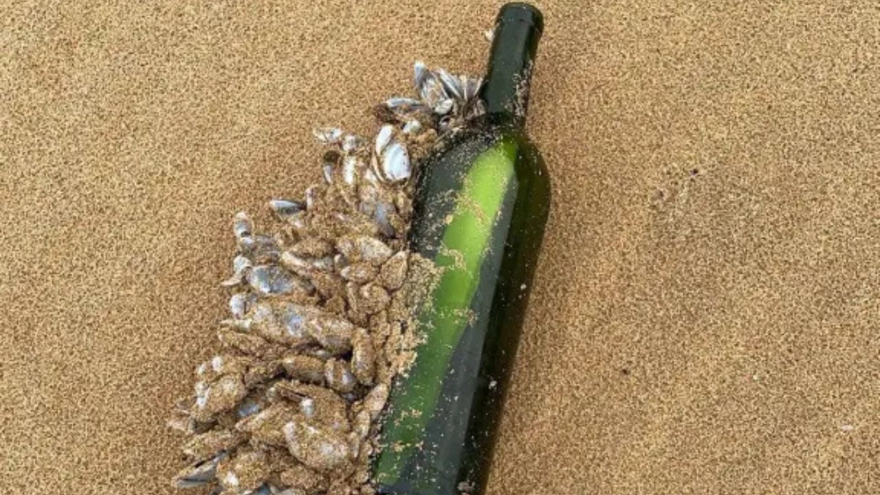 Após 16 anos no mar, mensagem em garrafa é encontrada na Austrália