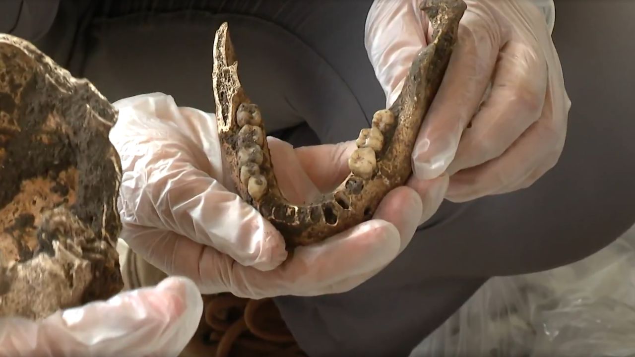 Sítio arqueológico com vestígios pré-históricos é descoberto na Bahia