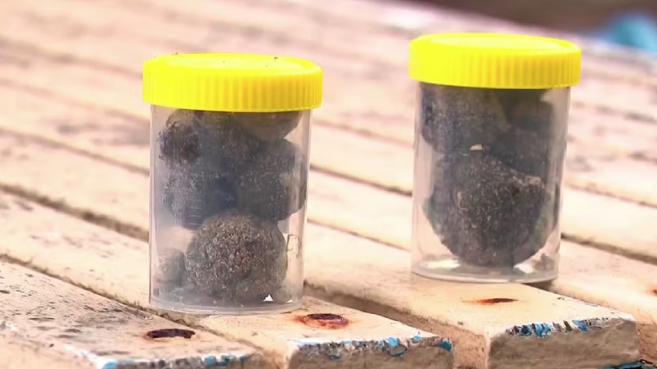 Bolas ‘misteriosas’ em praias australianas eram formadas por fezes e metanfetamina
