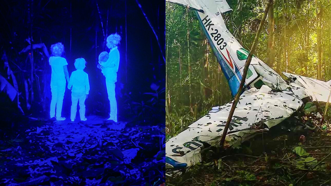 As Crianças Perdidas: Como as crianças sobreviveram tanto tempo na selva?
