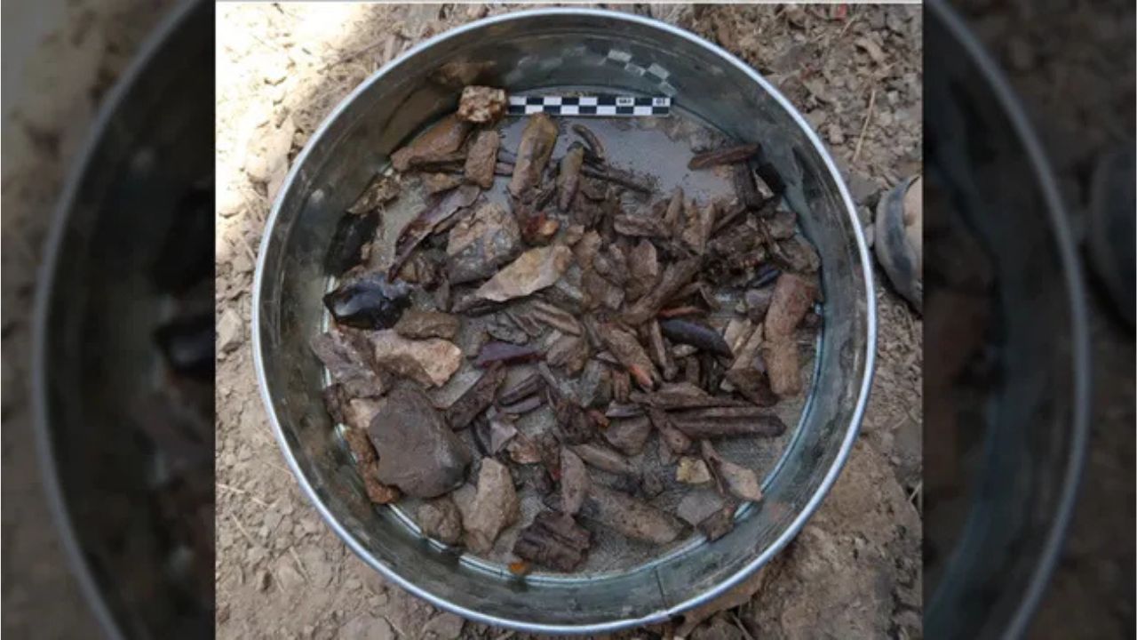 Abrigo teria sido usado durante migrações de neandertais, denisovanos e humanos modernos