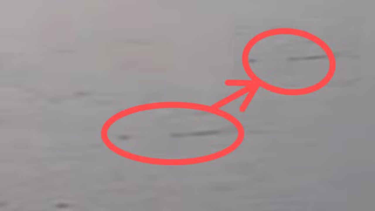 Caçador irlandês acredita ter feito imagens do monstro do lago Ness