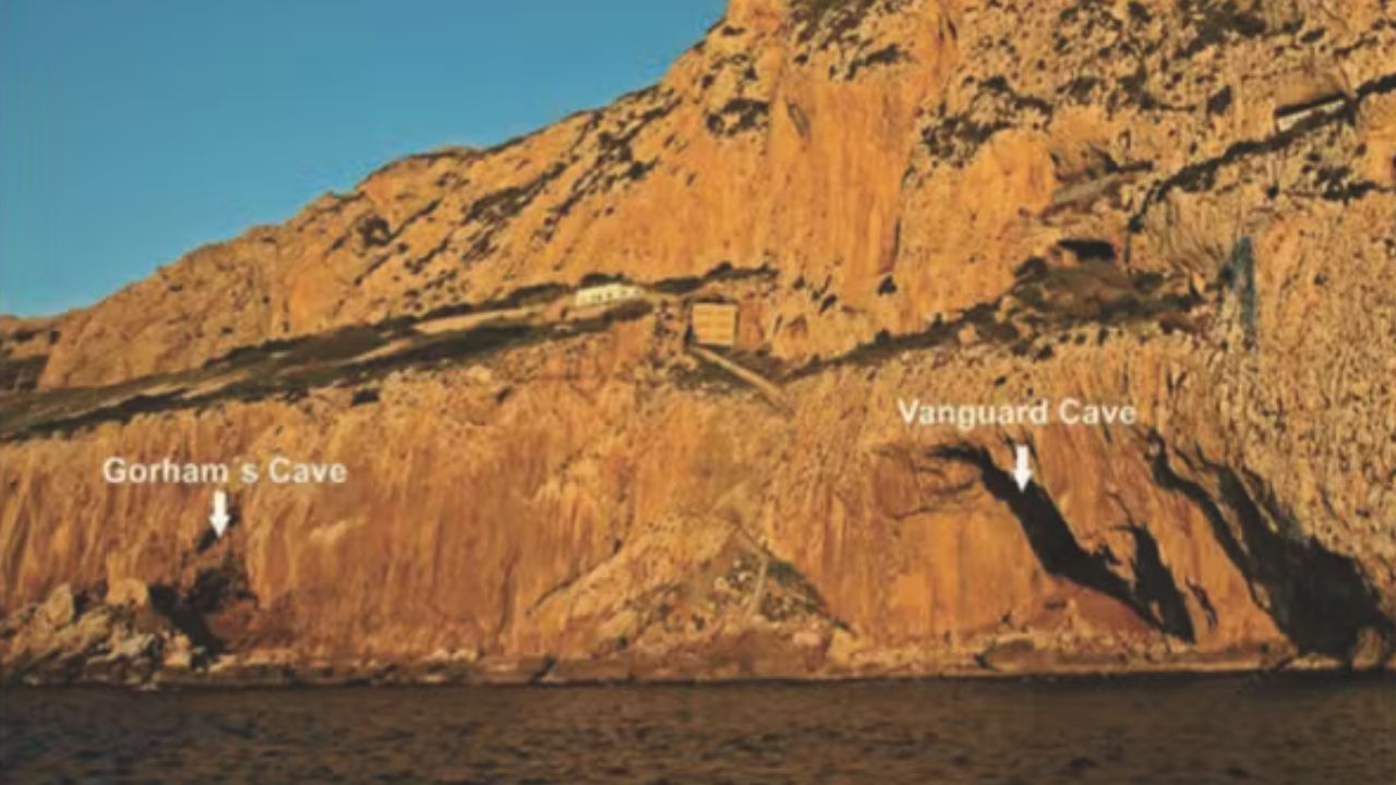 Estrutura possivelmente utilizada por neandertais é encontrada em Gibraltar