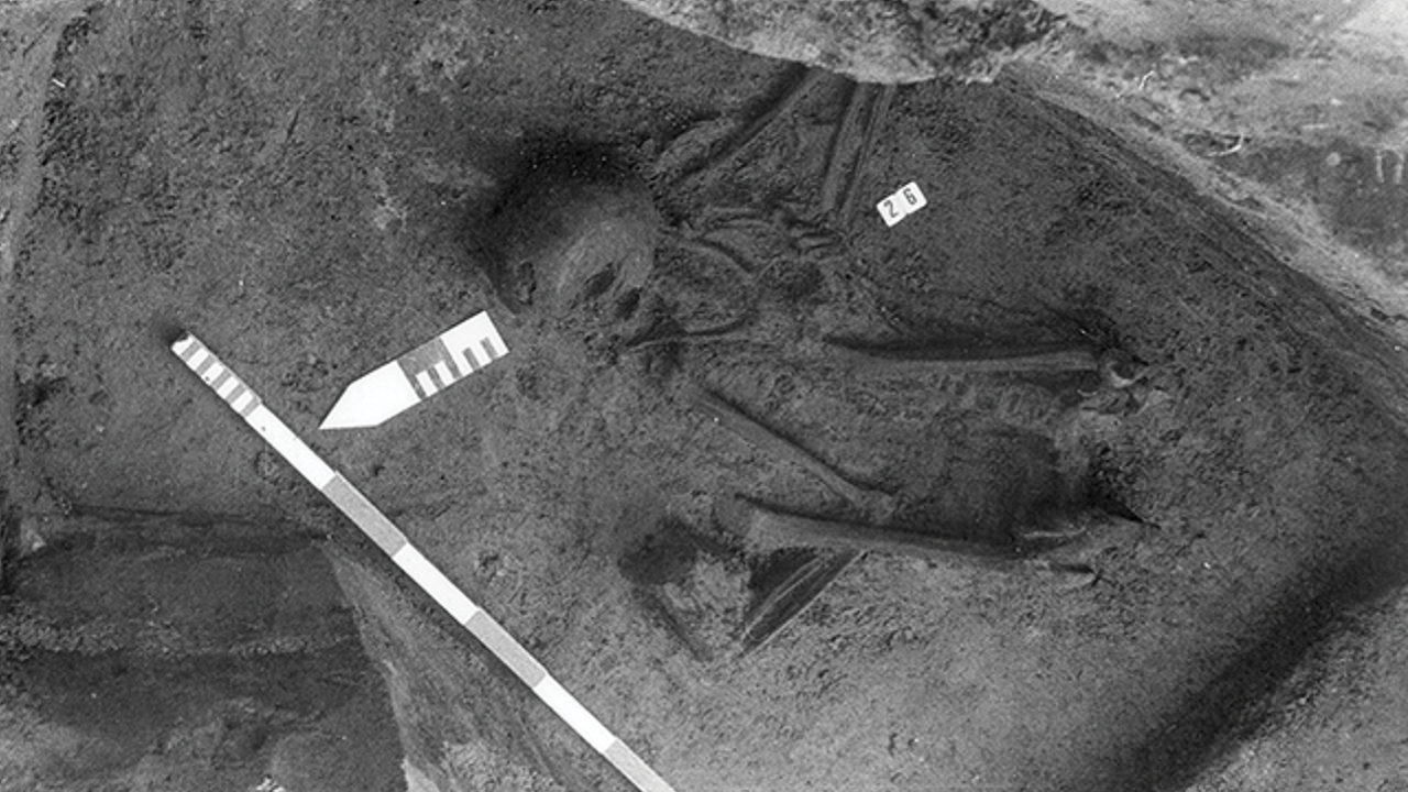 O mistério em torno do esqueleto feito de ossos de diferentes milênios
