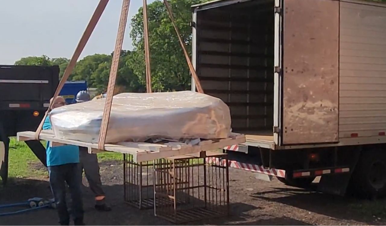 Maior fóssil brasileiro de titanossauro é transportado com ajuda de guindaste