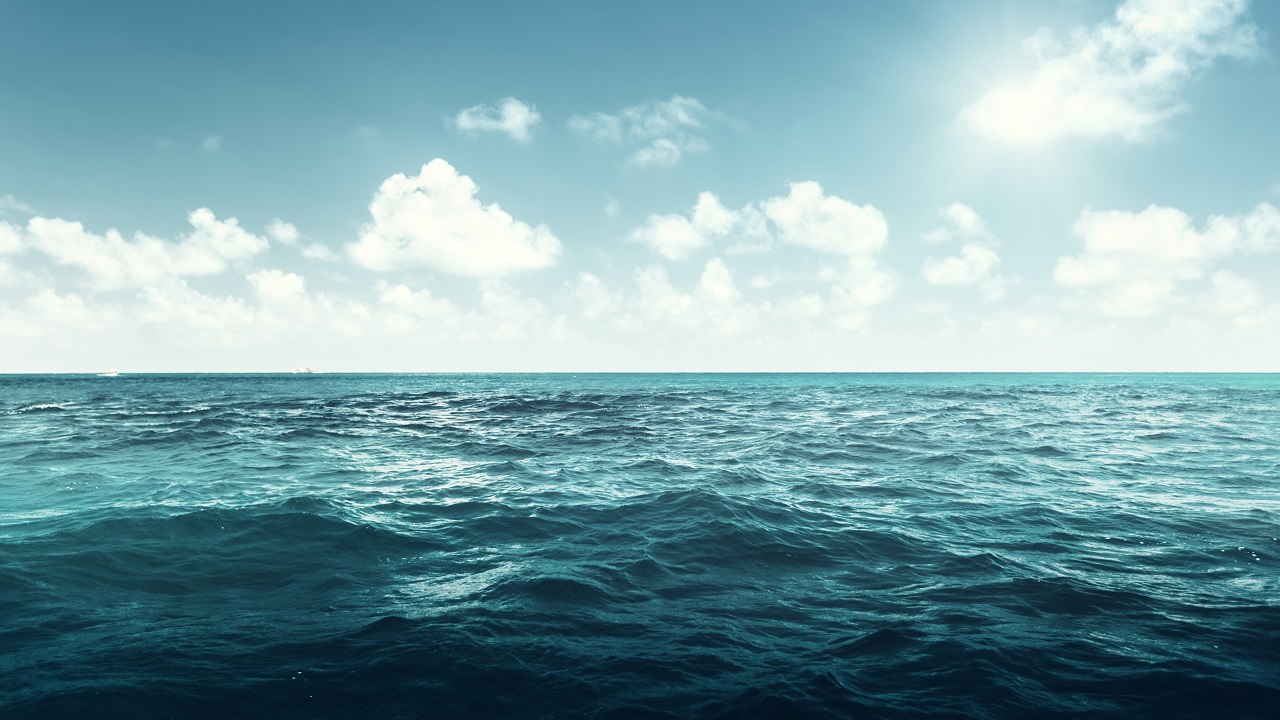 Ondas de calor marinhas ameaçam vida marinha e economia britânica