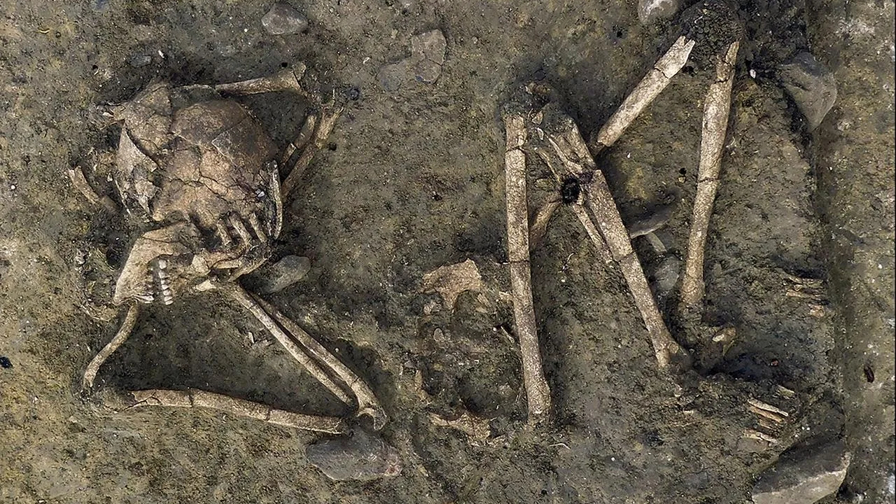 Tumba neolítica com mulher decapitada intriga arqueólogos na França