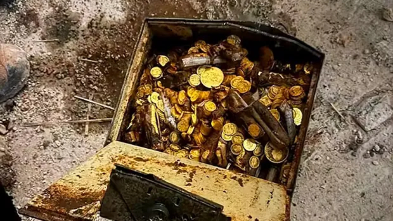 Enorme tesouro de moedas de ouro é encontrado em porão de vila na Áustria