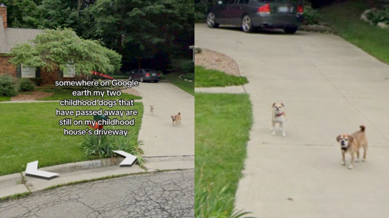 Mulher tem surpresa ao procurar antiga casa no Google Maps: ‘Me fez chorar’