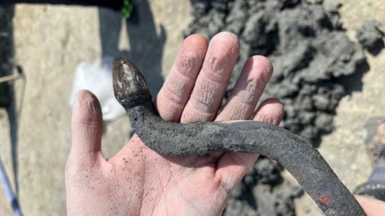 Cobras de bronze e ovos intactos são desenterrados em antiga terma italiana
