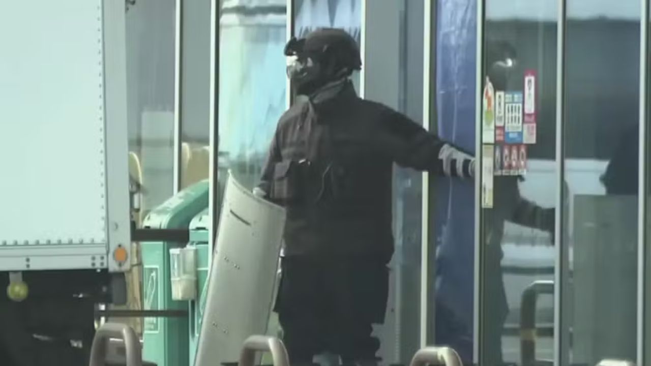 Urso é abatido no Japão após atacar funcionário de supermercado