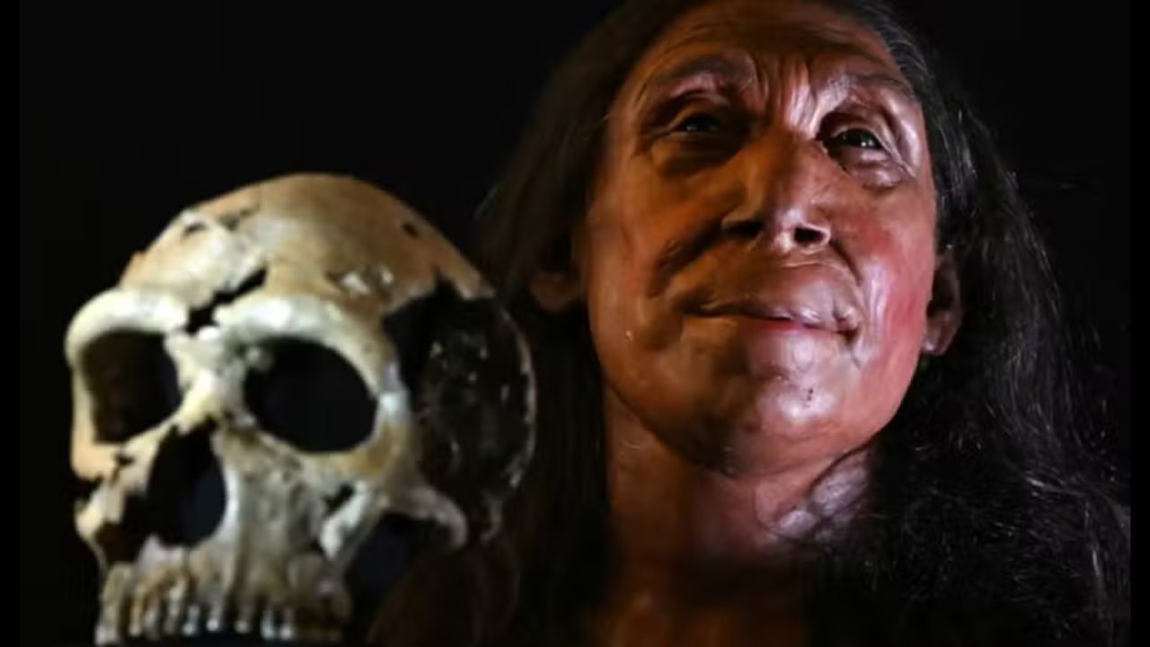 Cérebros cresceram mais rápido à medida que os humanos evoluíram, diz estudo