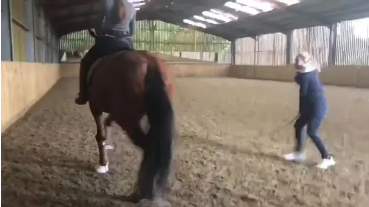 Atleta olímpica é suspensa após vídeo chicoteando cavalo