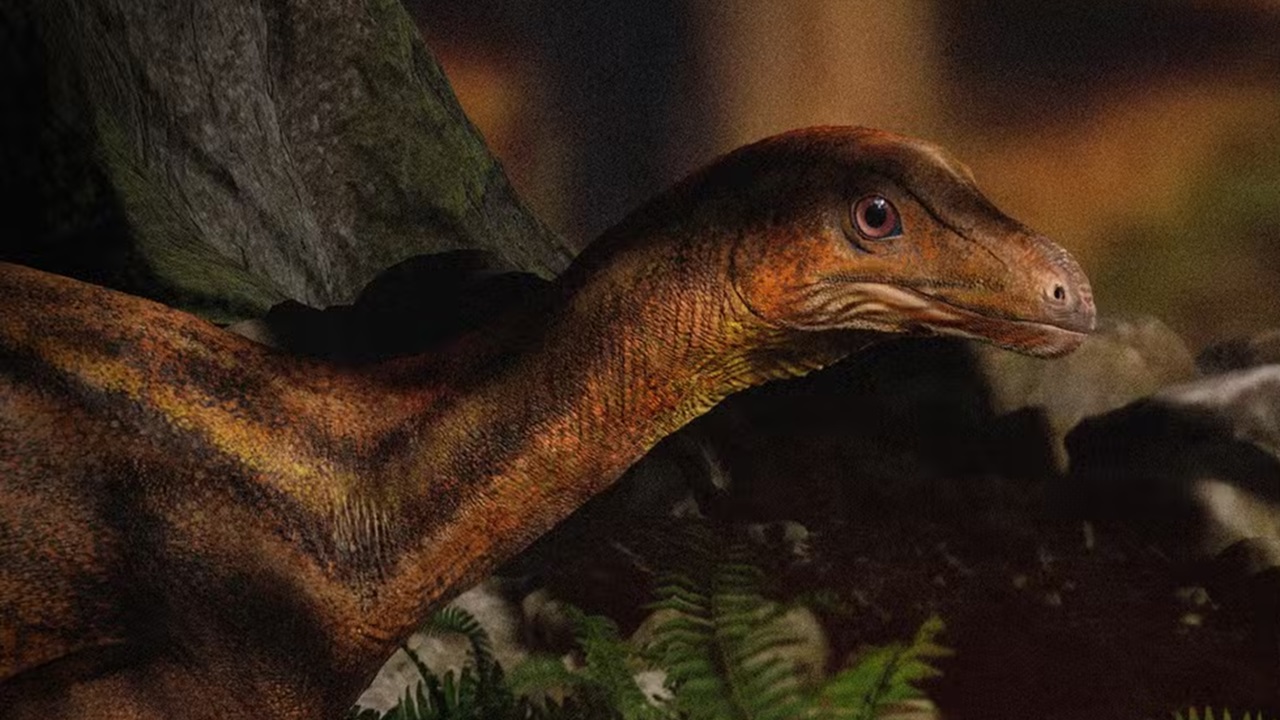 Descoberta no Rio Grande do Sul desvenda o rosto de um dinossauro ancestral