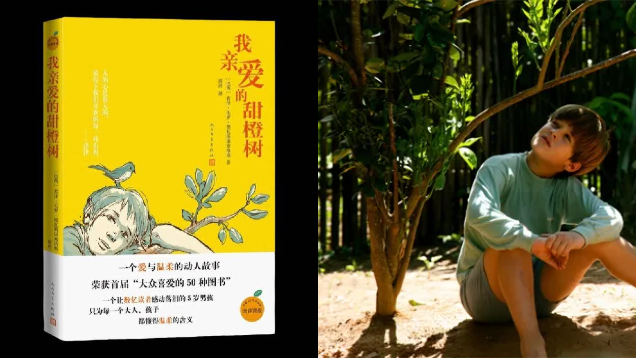 O emocionante livro brasileiro que virou febre na China