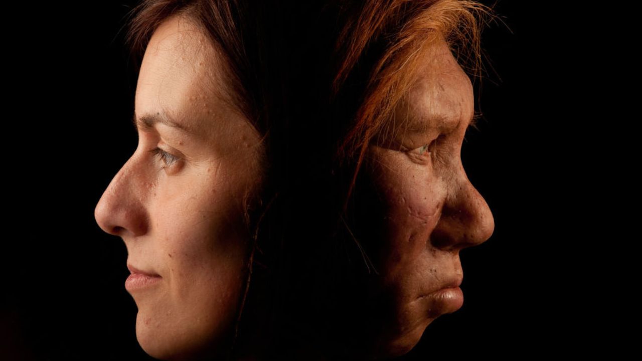 Mais antiga impressão digital do mundo pode ligar os Neandertais com a criação de arte