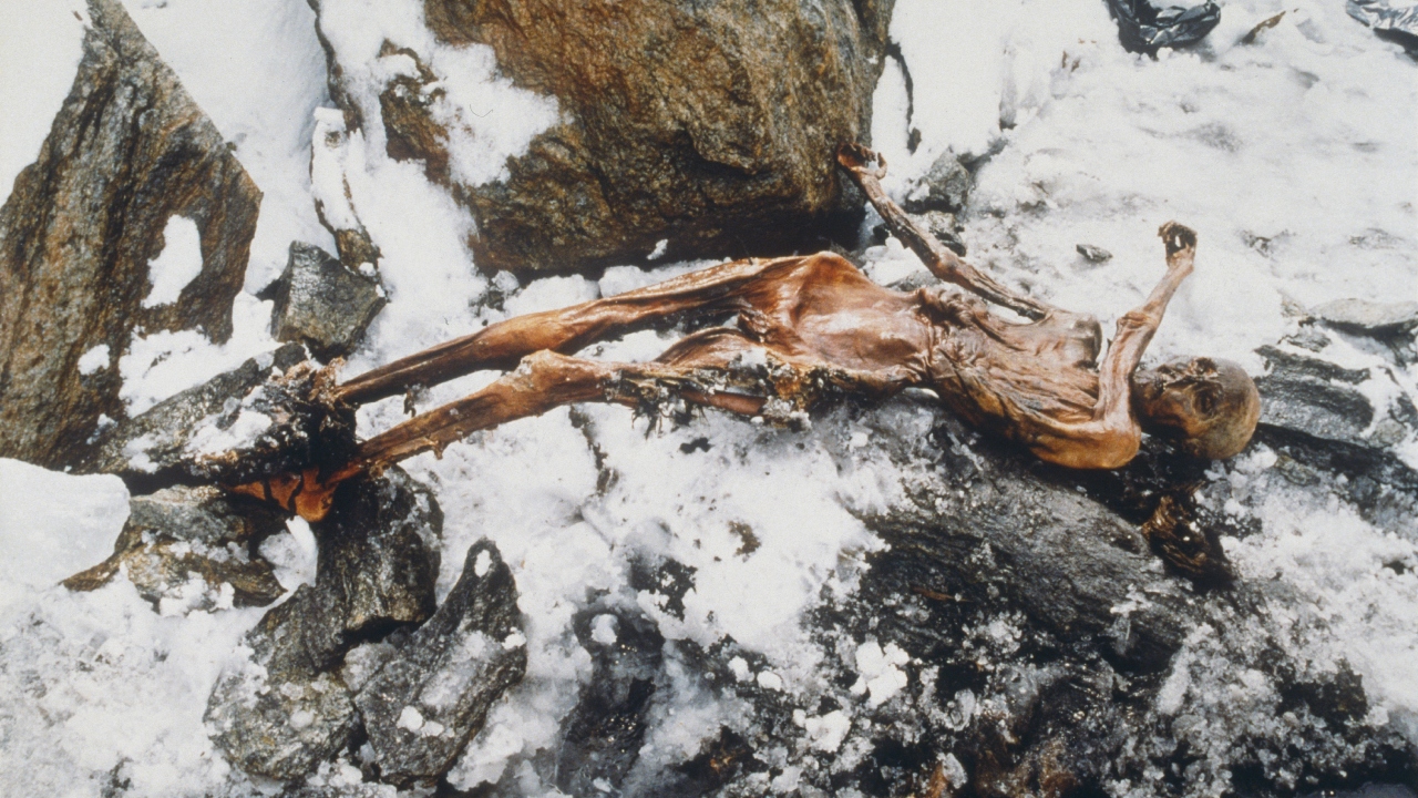 Relembre as recentes descobertas sobre Ötzi, o famoso ‘homem do gelo’