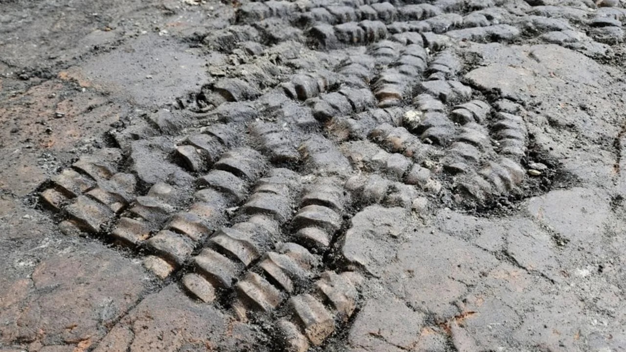 O enigmático piso de ossos descoberto em cidade da Holanda