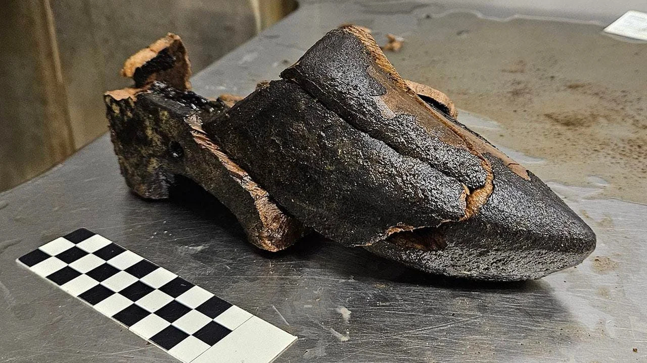 Tamanco de madeira do século 15 é descoberto em fossa na Holanda