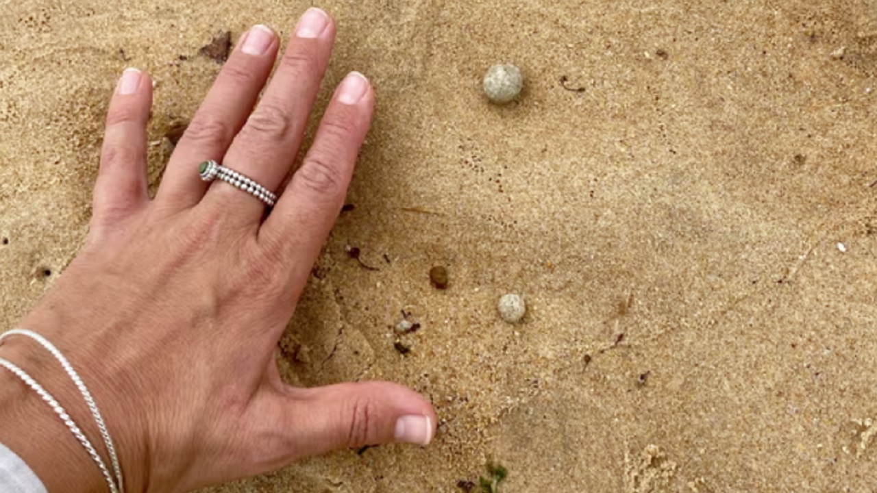 Nove praias de Sydney são fechadas após surgimento de misteriosas bolas de detritos