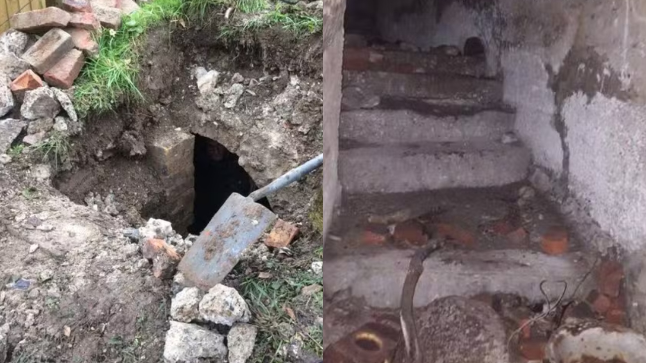 A mulher que encontrou um bunker no quintal da própria casa