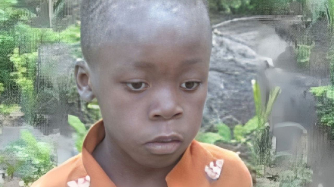Menino de 8 anos sobrevive a 5 dias perdido em floresta no Zimbábue