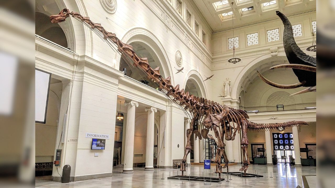 patagotitan-mayorum-conhe-a-o-maior-dinossauro-que-j-existiu