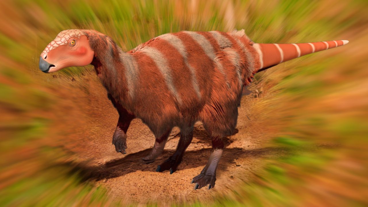 Conheça o dinossauro que viveu no Brasil e homenageia obra de Jorge Amado