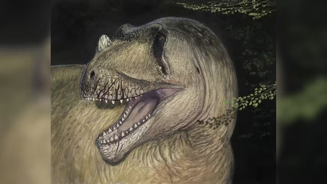Cientistas ‘ressuscitam’ dinossauro egípcio a partir de fotos antigas