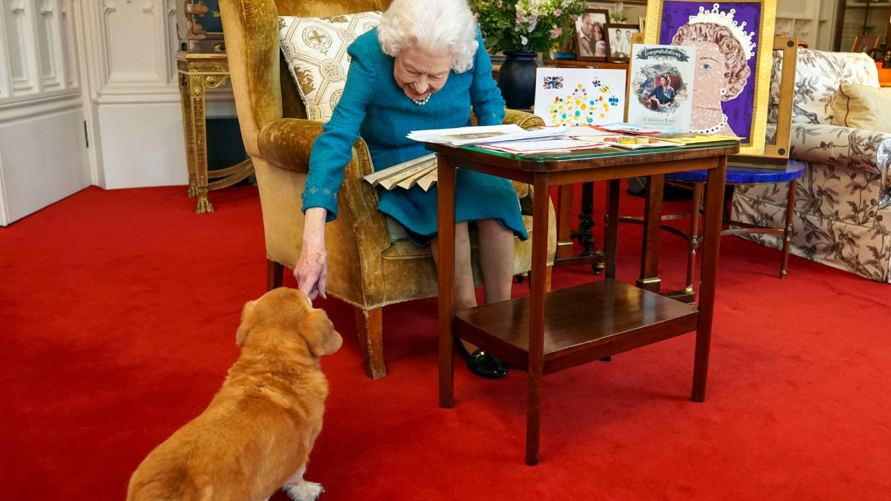 Veja o que aconteceu com os cachorros da rainha Elizabeth II