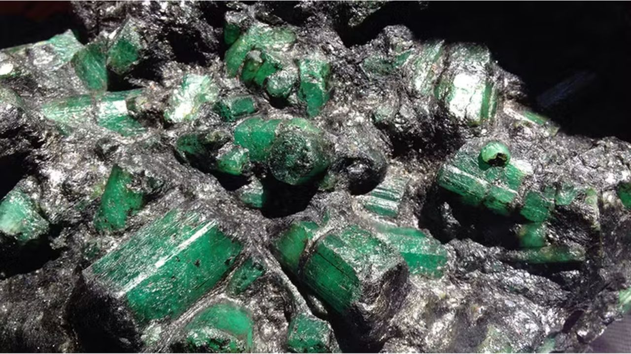 Avaliada em 1 bilhão de dólares, Esmeralda Bahia voltará ao Brasil