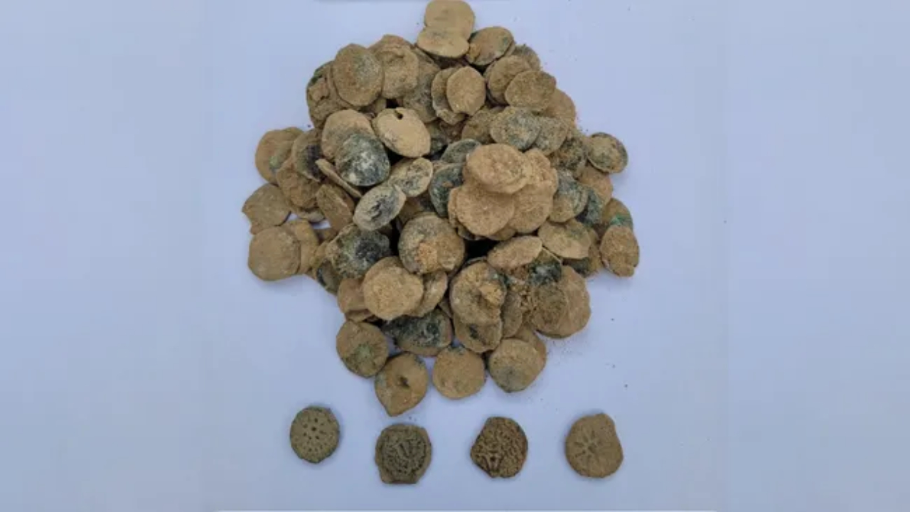 Tesouro de moedas de 2.100 anos é descoberto no Vale do Jordão