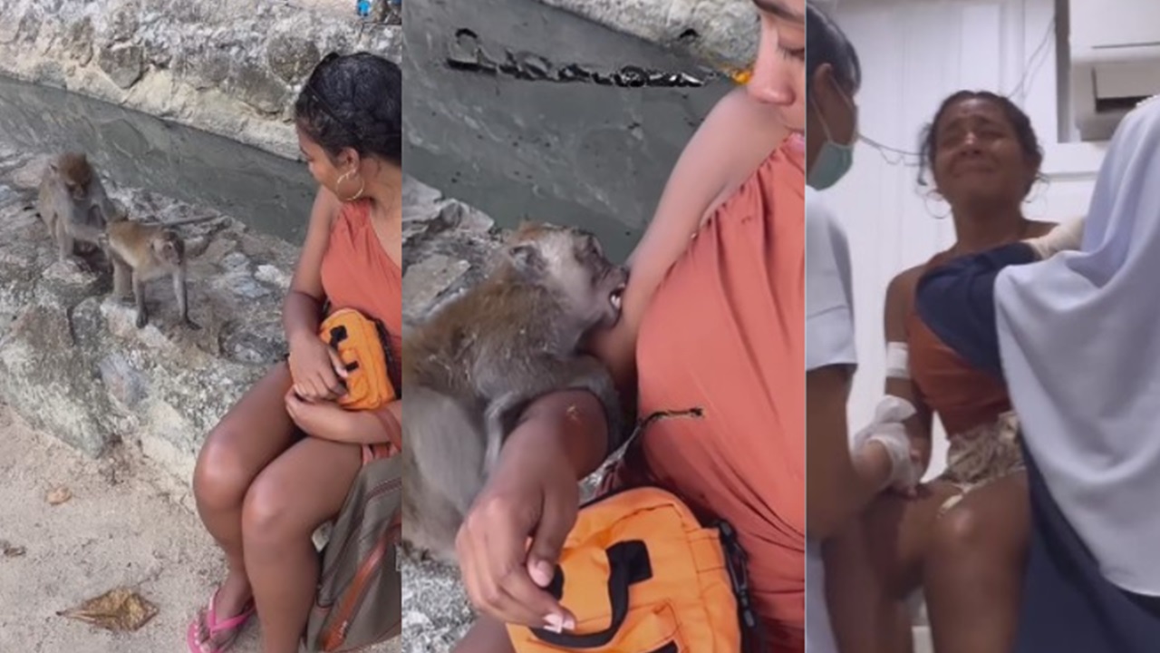 Influenciadora é mordida por macaco na Tailândia e gasta R$ 7 mil em remédios