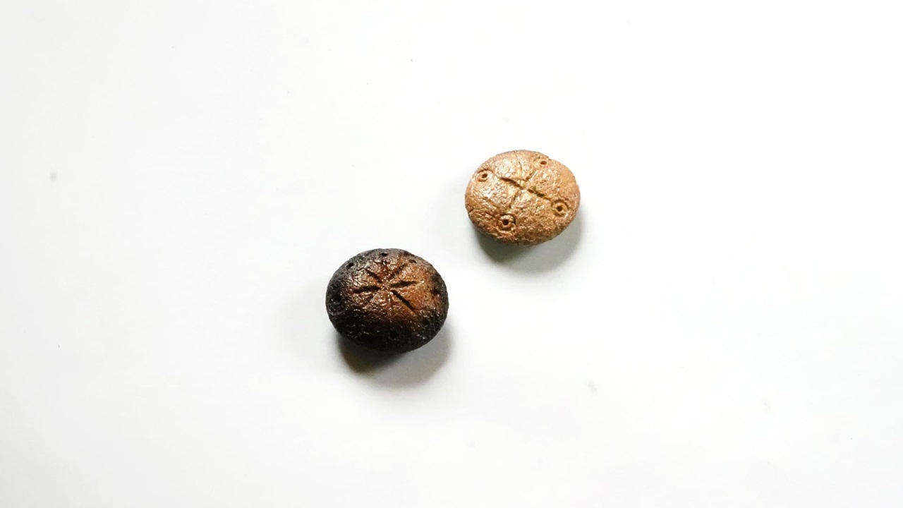 Descoberta na Turquia: Pedras de jogo revelam a vida dos soldados romanos