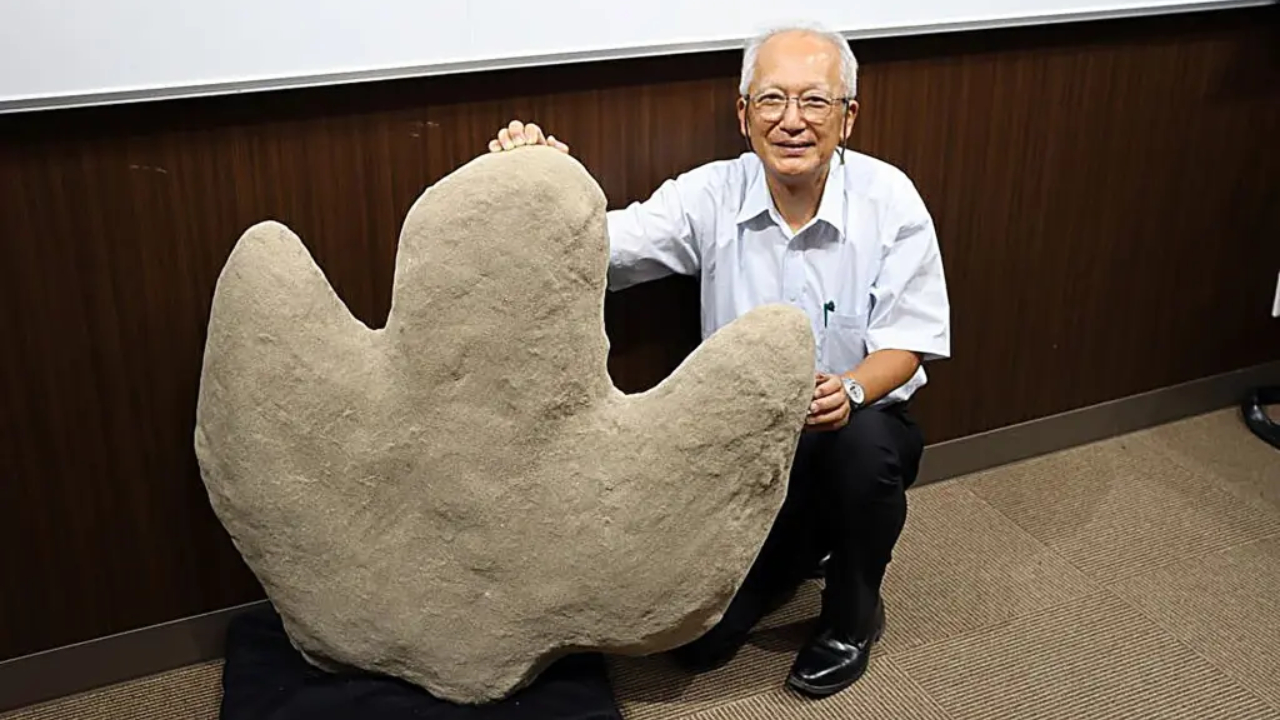 Uma das maiores pegadas de dinossauros já descobertas pertencia a ‘gigante’ de 15 metros
