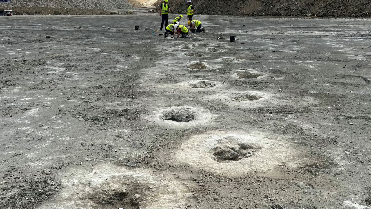 Arqueólogos encontram pegadas de dinossauros em pedreira na Inglaterra