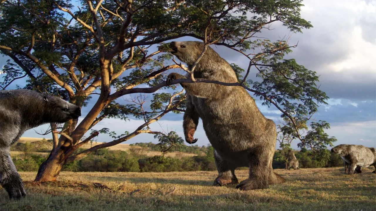 O que causou a extinção das preguiças-gigantes do Brasil?