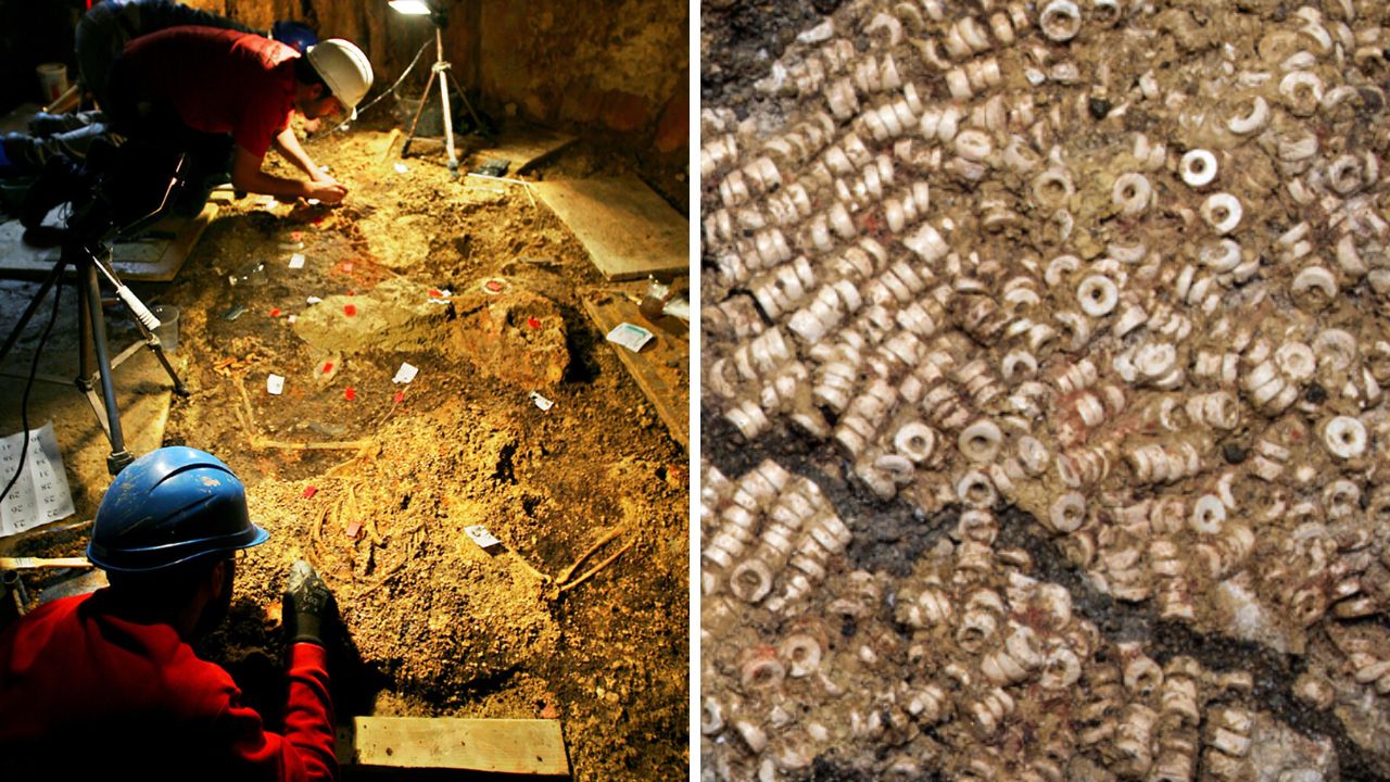Túmulo de 4.800 anos revela ritual cerimonial com 270 mil conchas