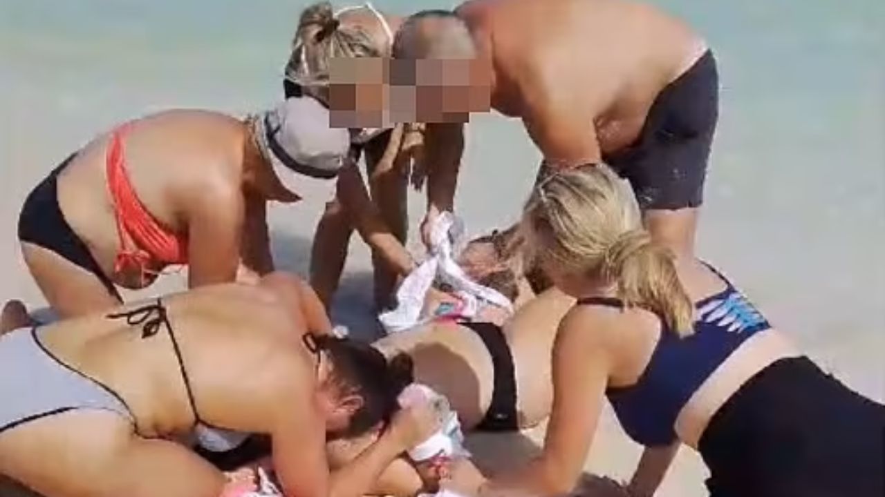 Turista é atacada por tubarão ao tentar fotografá-lo no Caribe