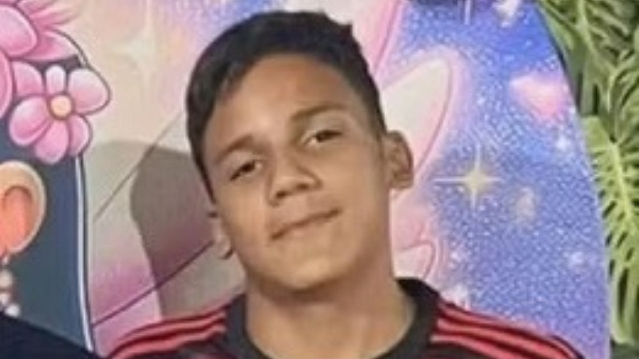 Jovem atacado por 4,5 mil abelhas tinha ferrões ‘dentro do ouvido e da boca’