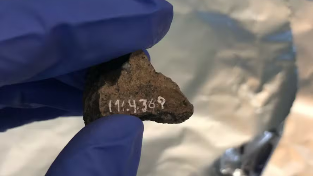 Álcool já era consumido no RS há pelo menos 1.200 anos, segundo novo estudo