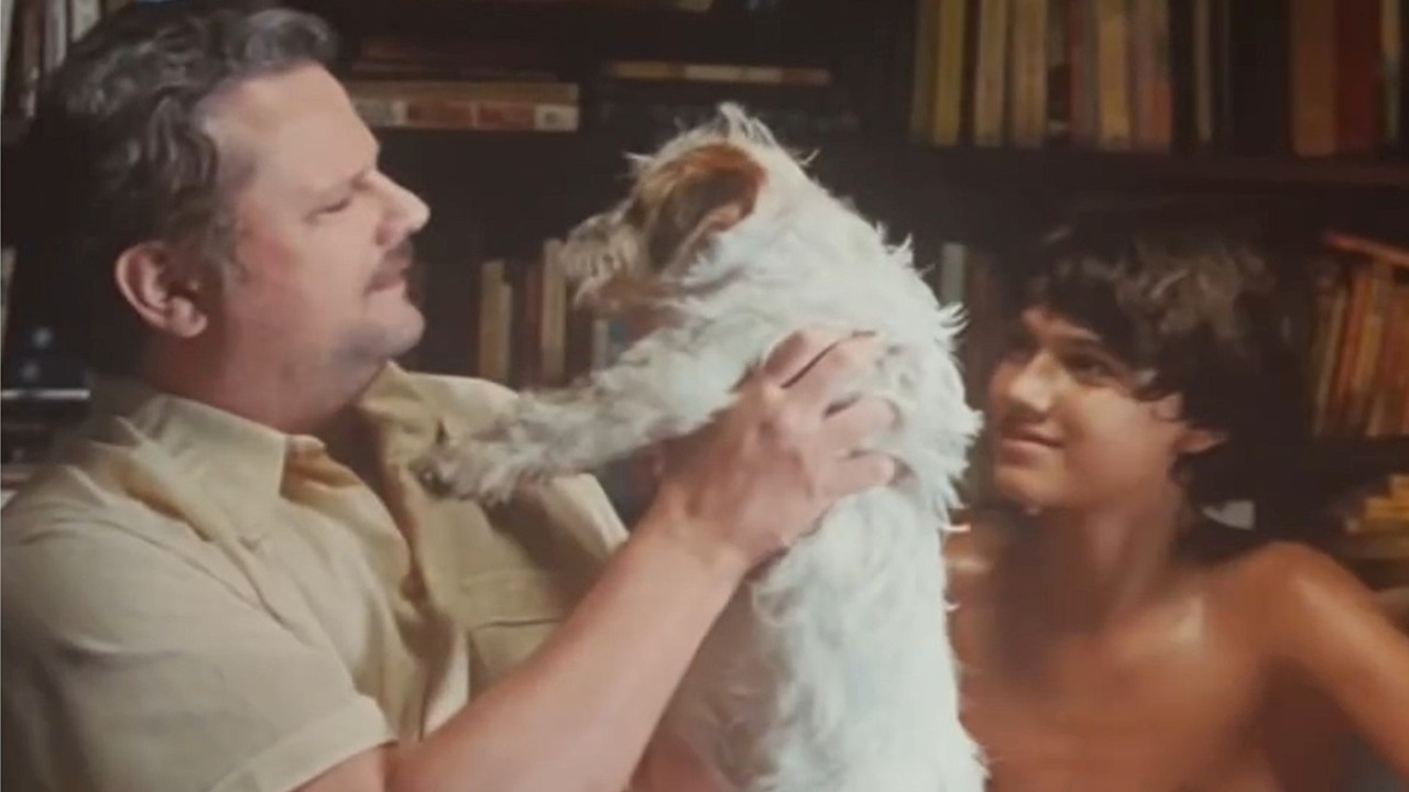 ‘Ainda Estou Aqui’: Cães do filme ganham prêmio por atuação