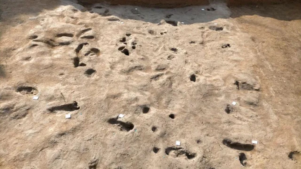 Pegadas perto de Pompeia revelam que pessoas fugiram de erupção do Vesúvio há 4 mil anos