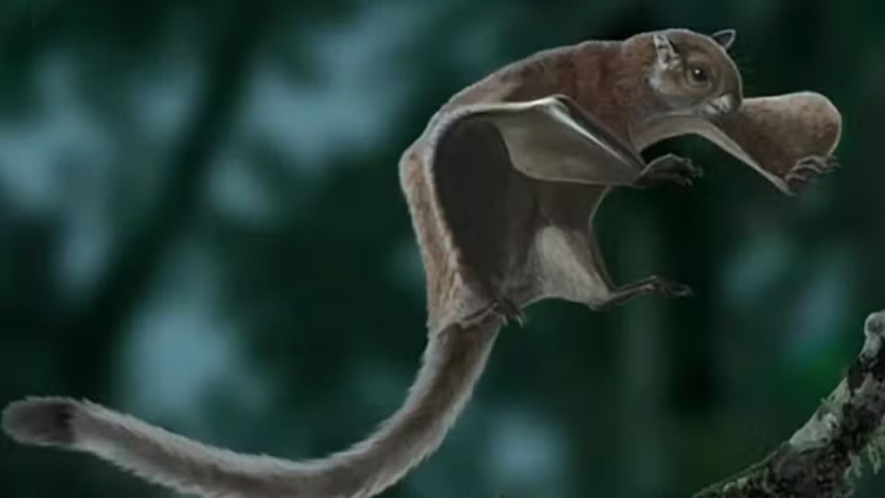 Pesquisadores descobrem esquilo voador gigante que viveu há 5 milhões de anos nos EUA