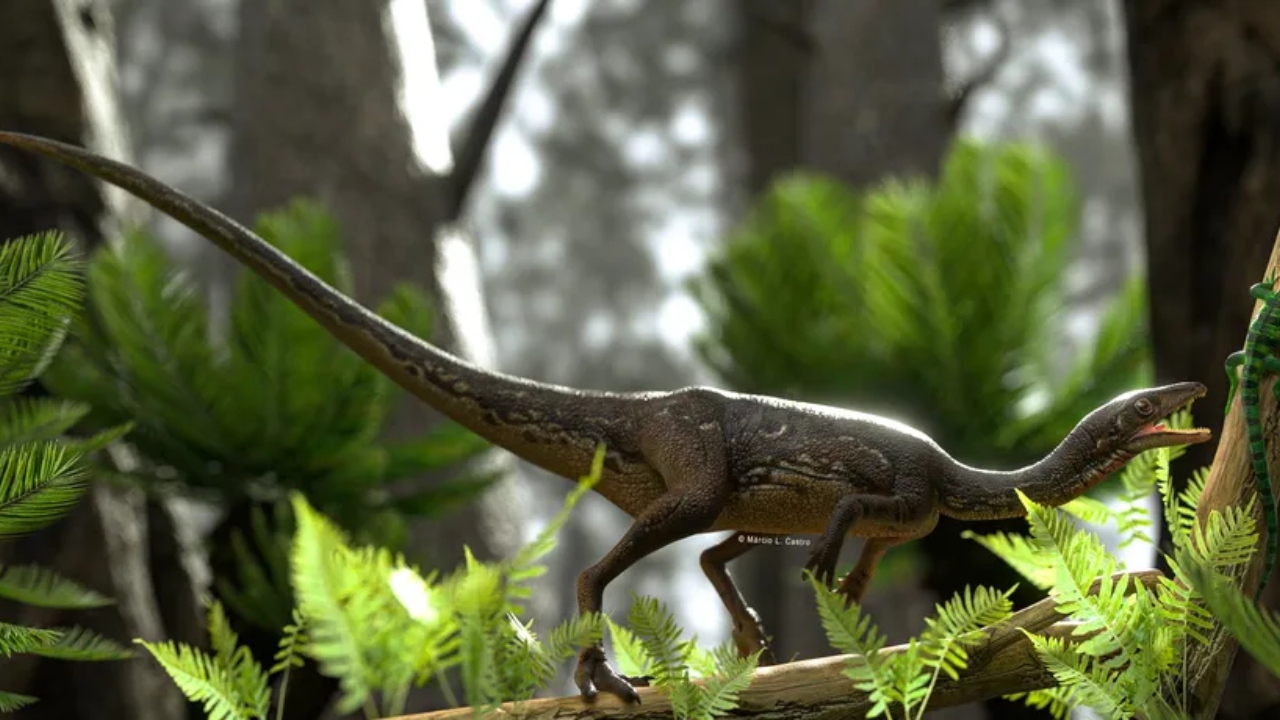 Quais são os dinossauros mais antigos que já existiram?
