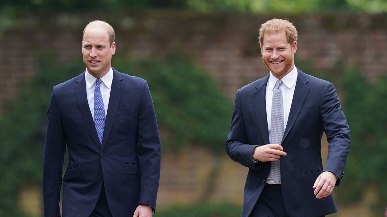Ex-assessor real revela detalhes da rixa entre William e Harry: ‘Triste’
