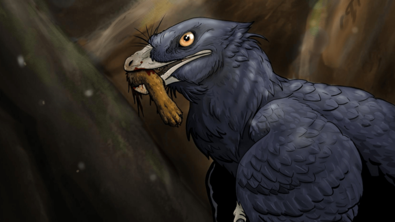 Relembre o primeiro registro de um dinossauro comendo um mamífero