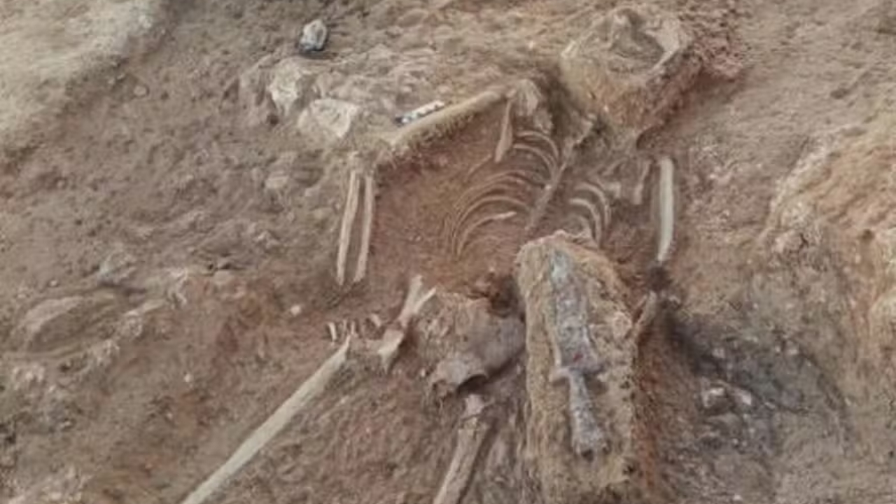 Soldado romano enterrado com adaga nas costas é descoberto na Espanha