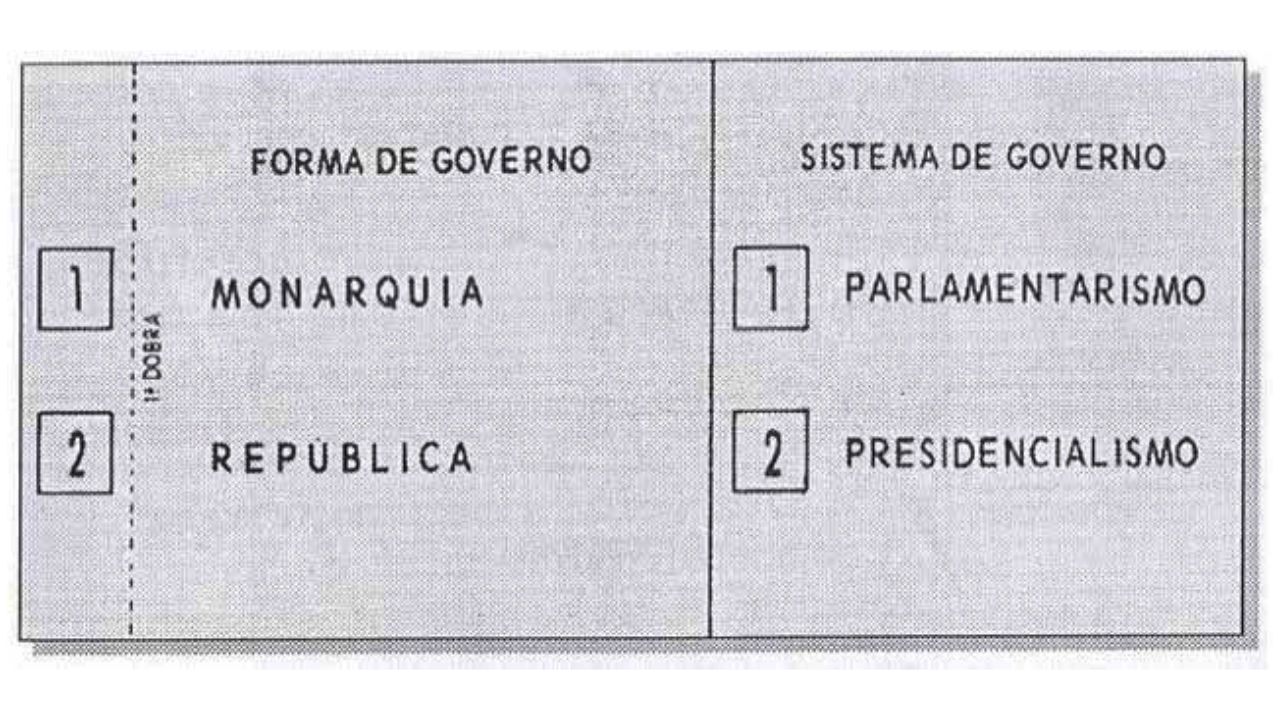 célula